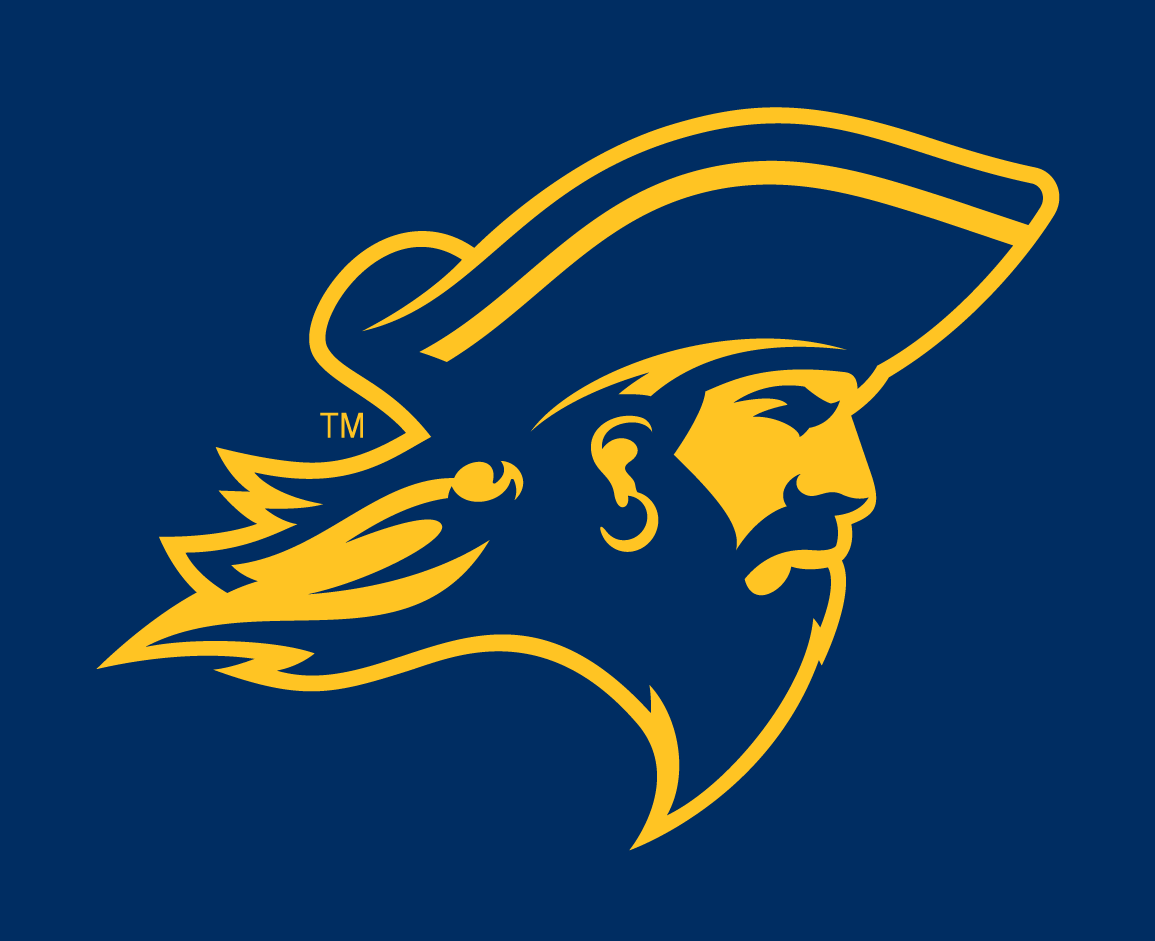 ETSU Buccaneers 2014-Pres Partial Logo v4 diy iron on heat transfer